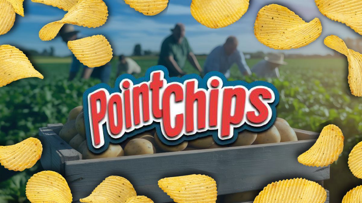 Projeto Point Chips — Identidade Visual